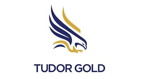 tudor gold corp|tudor gold stock price.